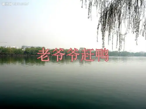 二年级下册音乐课件- 第五课 老爷爷赶鸭｜湘艺版   30张