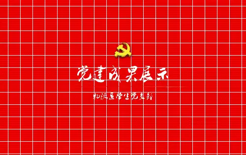 党建成果展示