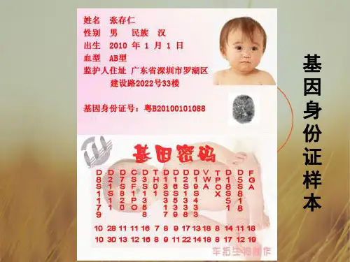 高中生物必修二课件-3.2 DNA分子的结构 共23张