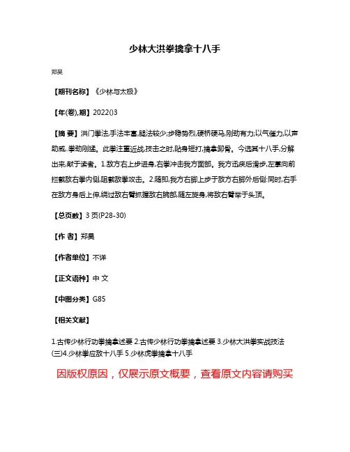 少林大洪拳擒拿十八手