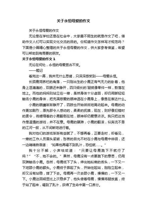 关于永恒母爱的作文