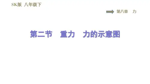 2020-2021学年八年级下册苏科版物理习题课件  8.2重力 力的示意图