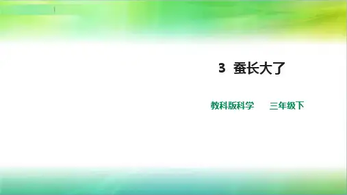 教科版小学科学新版三年级下册科学第二单元第3课  《蚕长大了》课件