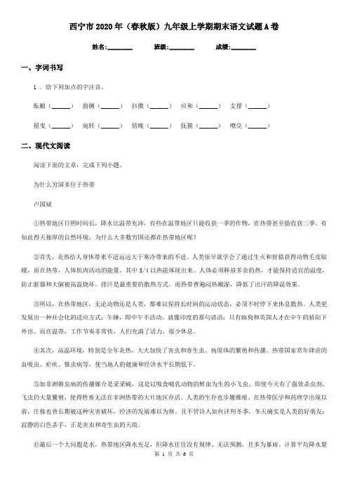 西宁市2020年(春秋版)九年级上学期期末语文试题A卷