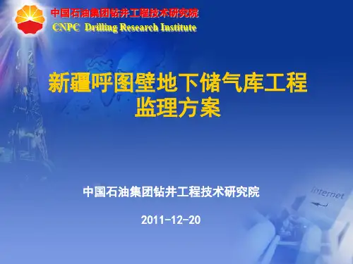 呼图壁储气库监理介绍-(2)
