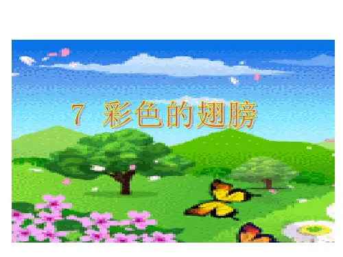 《彩色的翅膀》课件