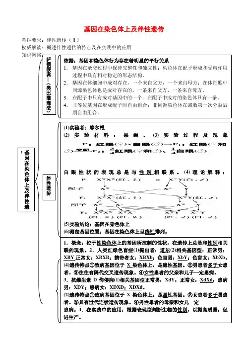 高中生物 基因在染色体上及伴性遗传教案 新人教版必修2