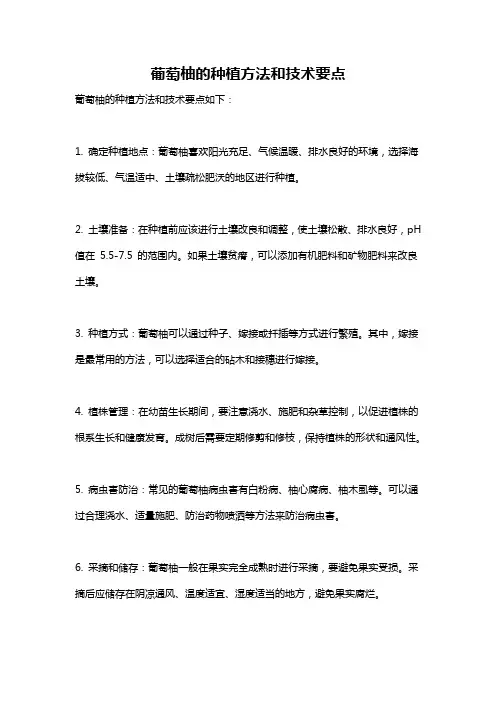 葡萄柚的种植方法和技术要点