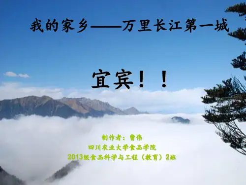 我的家乡宜宾~~