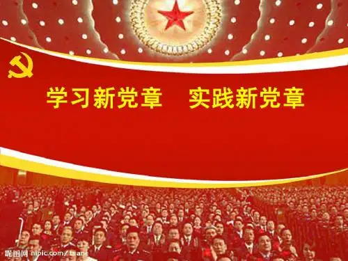 十八大党章导读PPT)