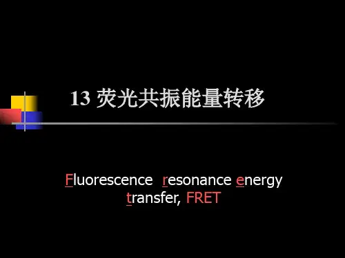 13 荧光共振能量转移