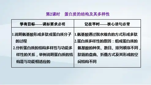 新教材高中生物第2章组成细胞的分子第2课时蛋白质的结构及其多样性pptx课件新人教版必修1