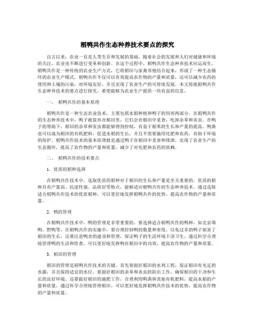 稻鸭共作生态种养技术要点的探究