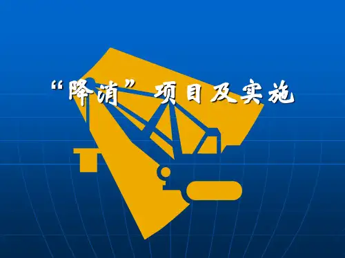 1、降消项目及实施