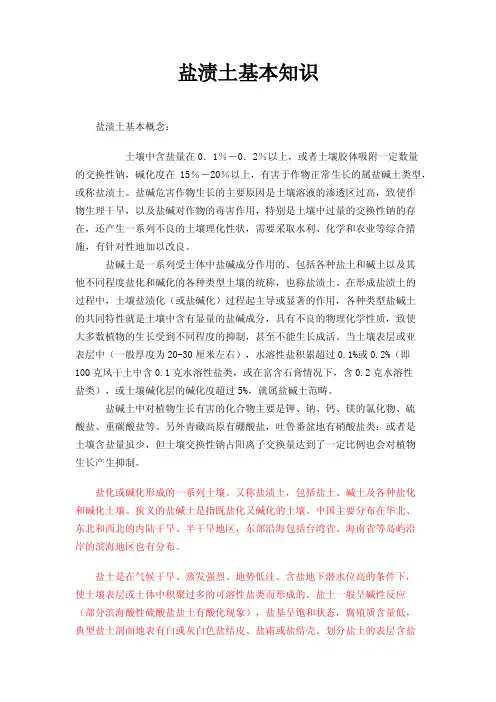 盐渍土基本知识