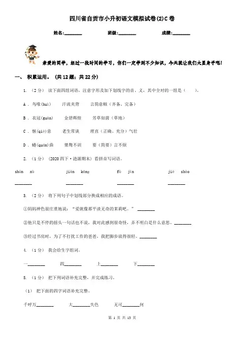 四川省自贡市小升初语文模拟试卷(2)C卷