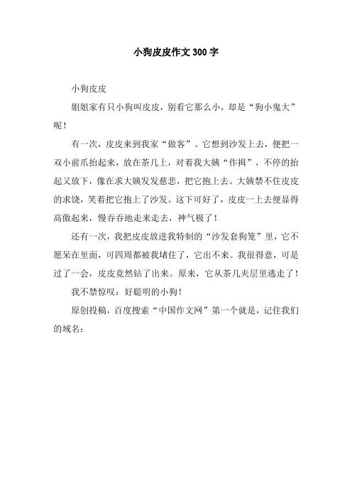 小狗皮皮作文300字