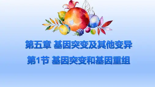 【高中生物】基因突变和基因重组课件 高一下学期生物人教版(2019)必修二