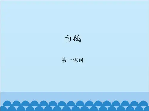 《白鹅》PPT课件完美版1