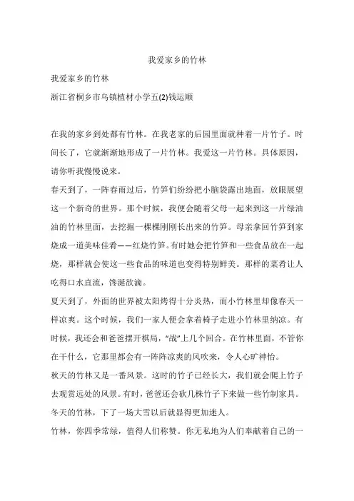 我爱家乡的竹林-作文