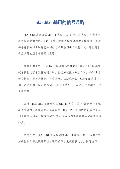 hla-drb1基因的信号通路