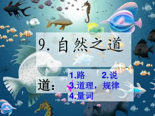 9.自然之道  纪芳