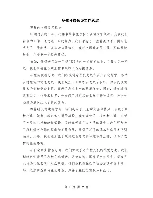 乡镇分管领导工作总结