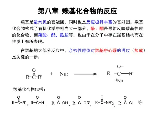 091104-10_第八章_羰基化合物的反应