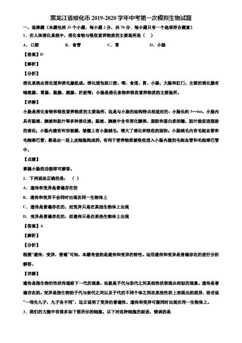 黑龙江省绥化市2019-2020学年中考第一次模拟生物试题含解析