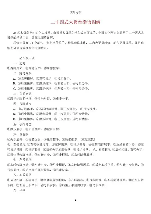 太极拳拳谱套图口诀经典