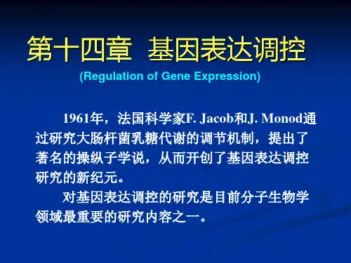 生物化学》ppt课件14
