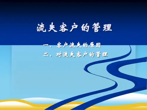 对流失客户的管理(ppt 16页)
