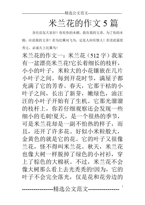米兰花的作文5篇_0