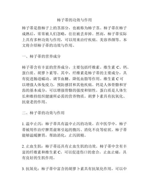 柿子蒂的功效与作用