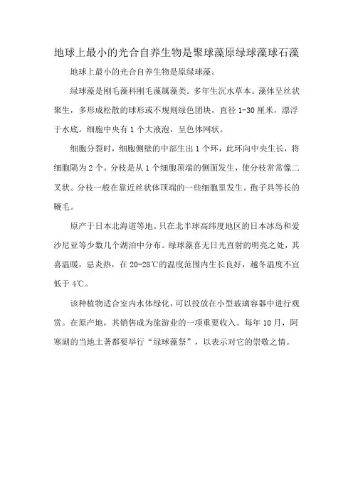 地球上最小的光合自养生物是聚球藻原绿球藻球石藻