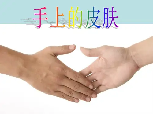 四年级下册语文《手上的皮肤》参考课件(北师大版)