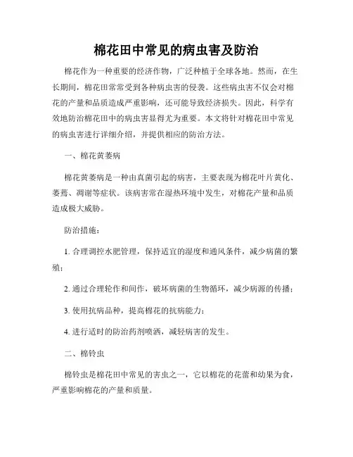 棉花田中常见的病虫害及防治