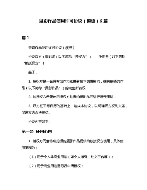 摄影作品使用许可协议(模板)6篇