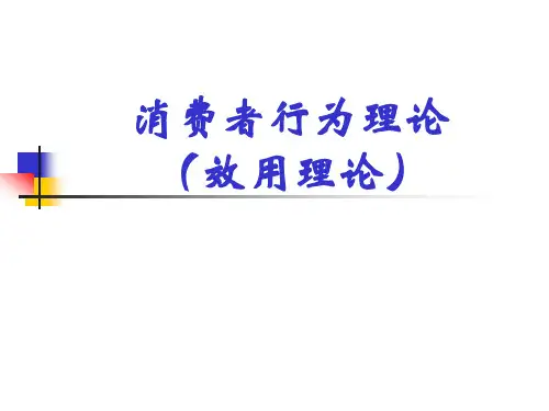 微观经济学   消费者行为理论  课件