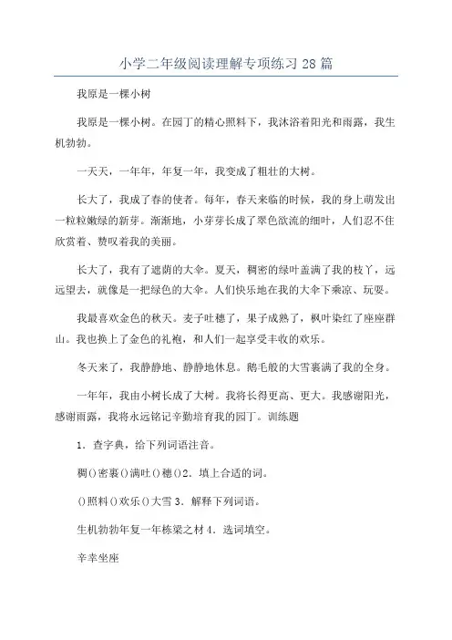 小学二年级阅读理解专项练习28篇