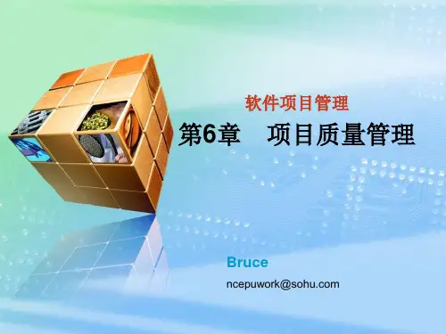 第6章 项目质量管理ppt课件