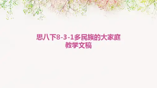 思八下8-3-1多民族的大家庭教学文稿