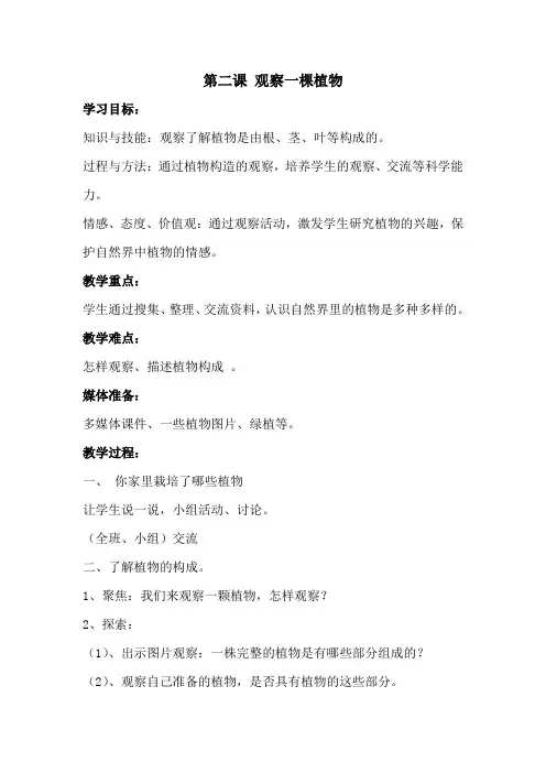 2017一年级科学教案 观察一棵植物