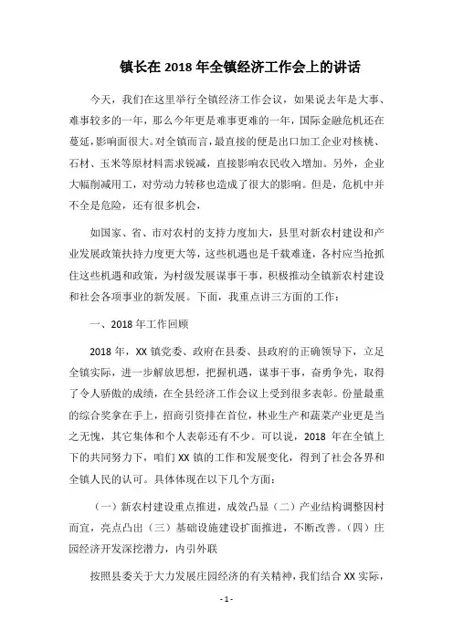镇长在2018年全镇经济工作会上的讲话