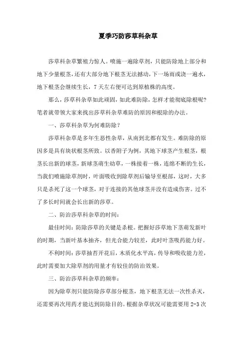 夏季巧防莎草科杂草