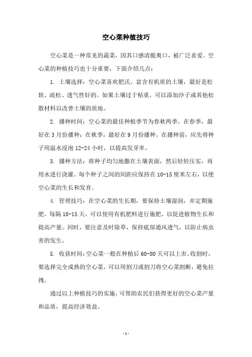 空心菜种植技巧