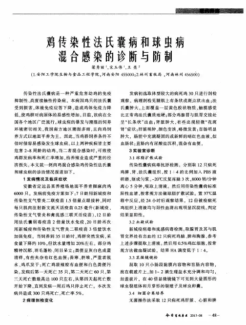鸡传染性法氏囊病和球虫病混合感染的诊断与防制