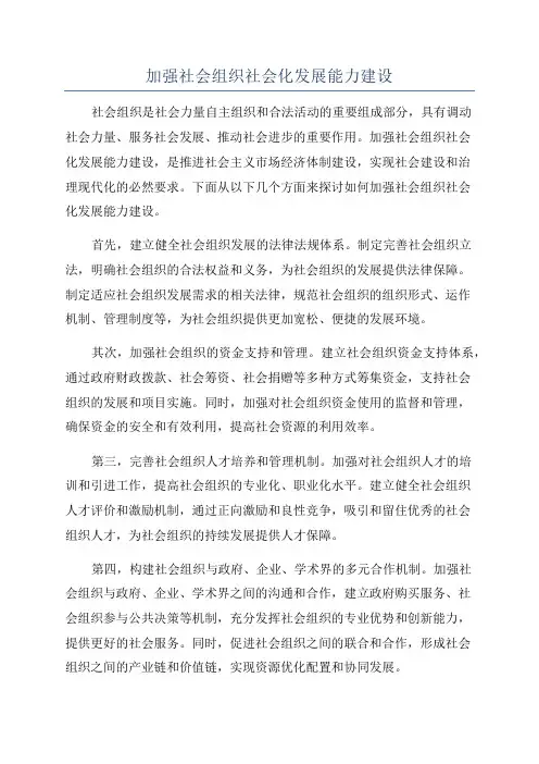 加强社会组织社会化发展能力建设