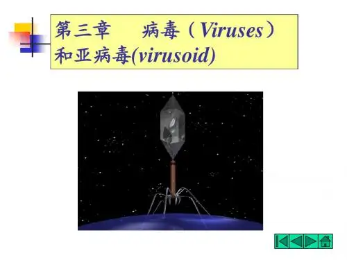 3病毒(Viruses)和亚病毒(virusoid)
