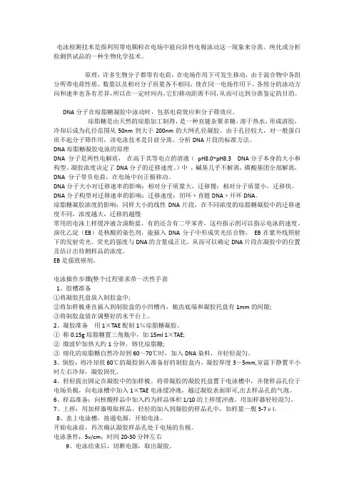 琼脂糖凝胶电泳技术